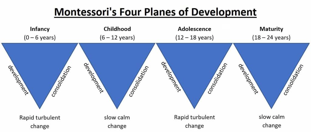 montessoris four stages of development, explained below