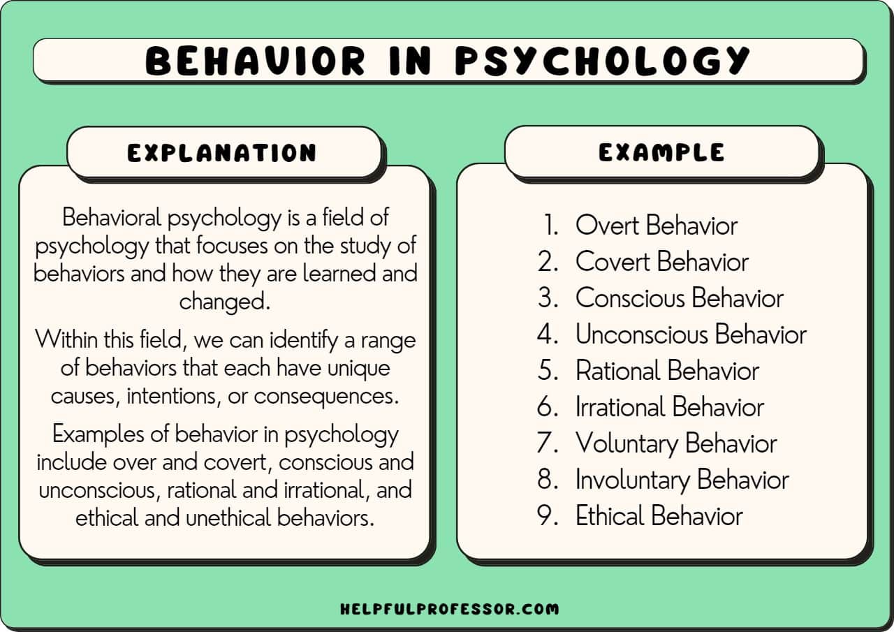 15 Examples of Behavior in Psychology (List) (2025)