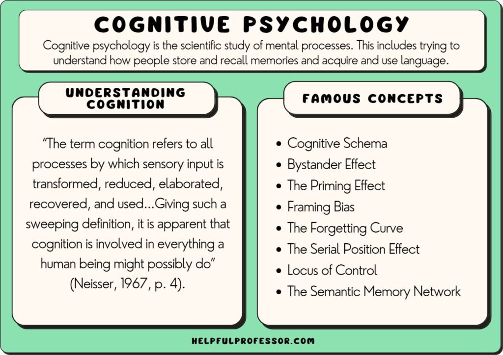 Example of cognitive 2024 perspective in psychology