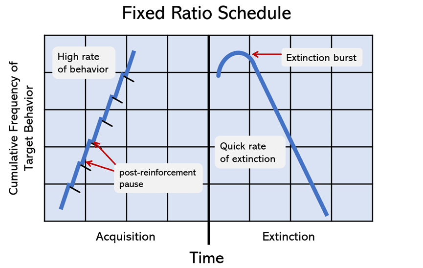 graph of a fixed ratio schedule showing fast behavior acquisition and fast behavior extinction in relation to reinforcement cessation