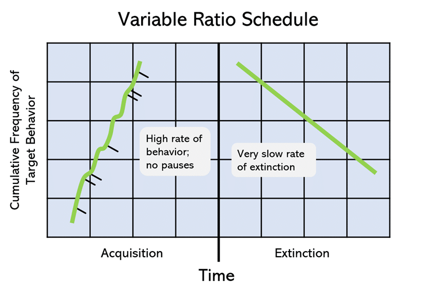 graph of a variable ratio schedule showing fast behavior acquisition and slow behavior extinction in relation to reinforcement cessation