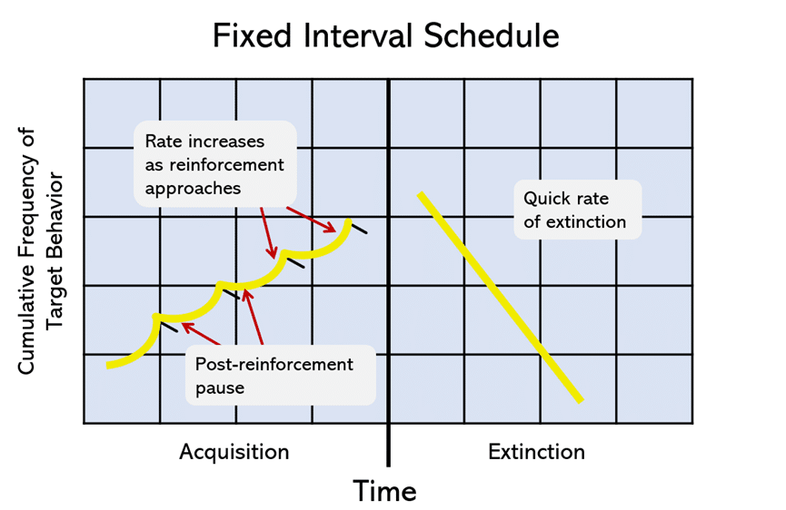 graph of a fixed interval schedule showing slow behavior acquisition and fast behavior extinction in relation to reinforcement cessation