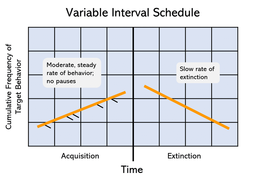 graph of a variable interval schedule showing slow behavior acquisition and slow behavior extinction in relation to reinforcement cessation