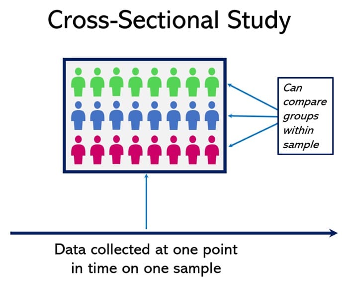 A visual representation of a cross-sectional group of people, demonstrating that the data is collected at a single point in time and you can compare groups within the sample