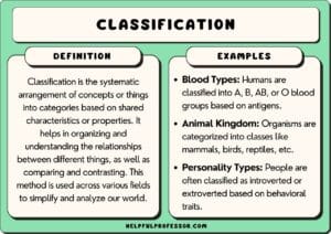25 Classification Examples (2025)