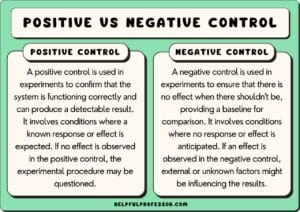 Positive Control vs Negative Control: Differences & Examples (2025)