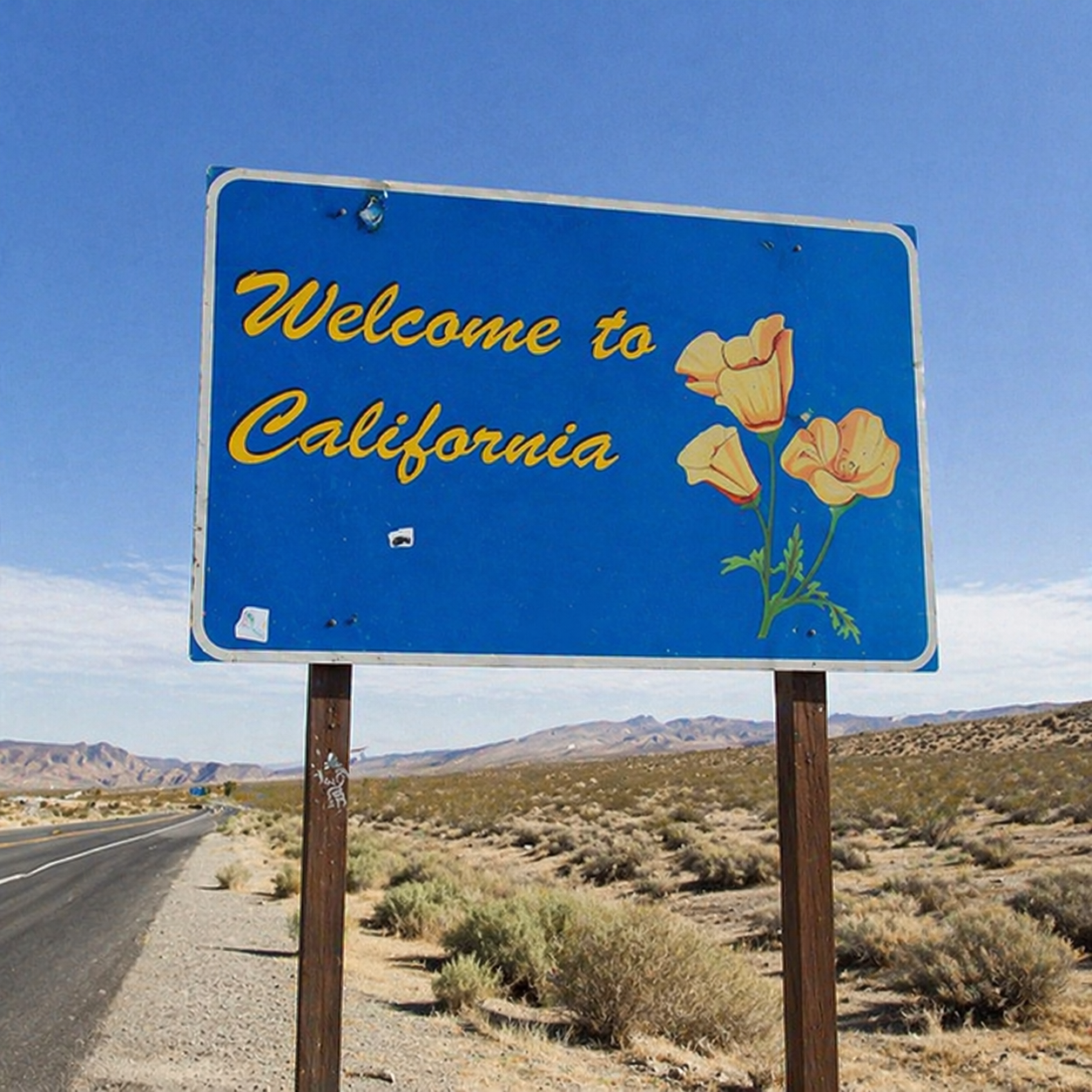 27. Frogs cannot die in contests.